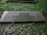 image of grave number 187560
